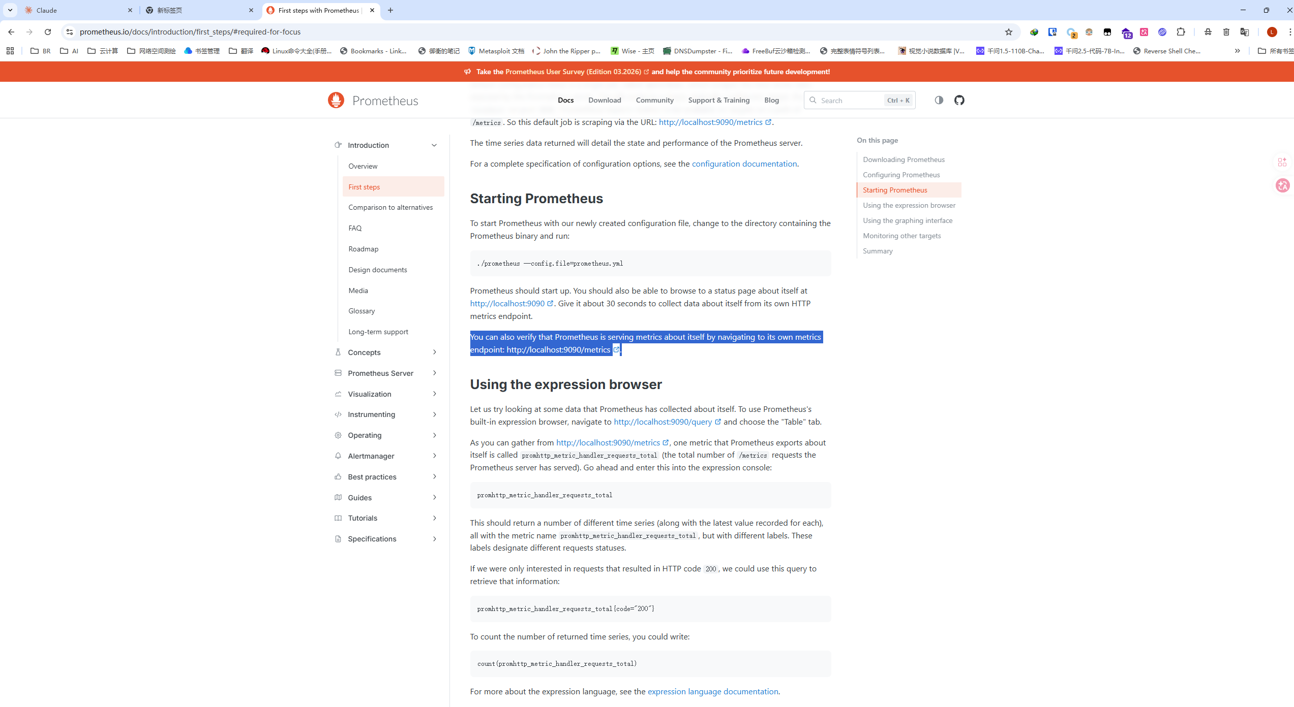 访问 /metrics 端点,成功获取 Prometheus 格式的监控数据